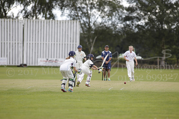 Cricket 2017_0284