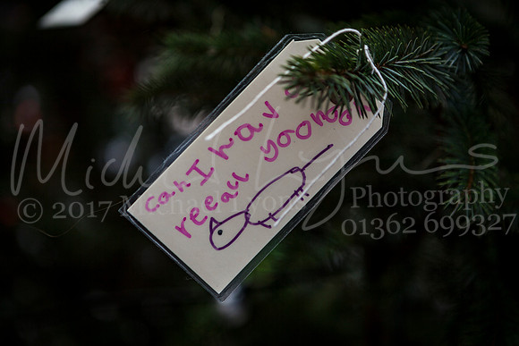 Dereham Christmas Lights 2017 0005