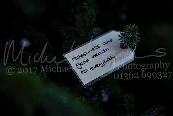 Dereham Christmas Lights 2017 0021