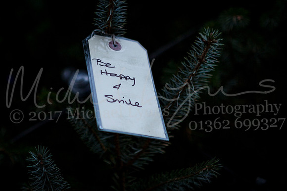 Dereham Christmas Lights 2017 0026