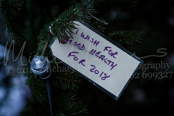 Dereham Christmas Lights 2017 0038