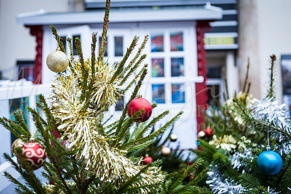Dereham Christmas Lights 2017 0058