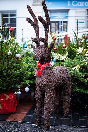 Dereham Christmas Lights 2017 0070